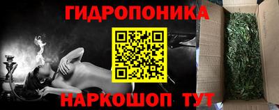 гашик Камышлов