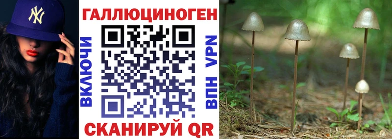 Псилоцибиновые грибы мицелий  где купить   Кувандык 