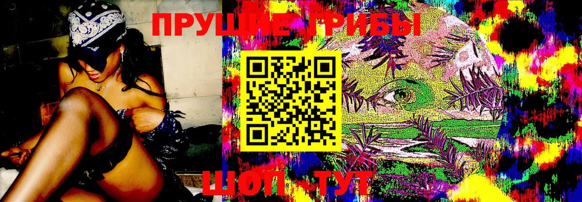 Галлюциногенные грибы прущие грибы Кувандык