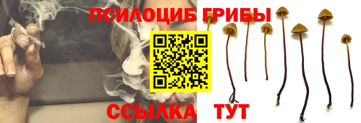 Псилоцибиновые грибы прущие грибы  наркотики  Кувандык  Вход с VPN 